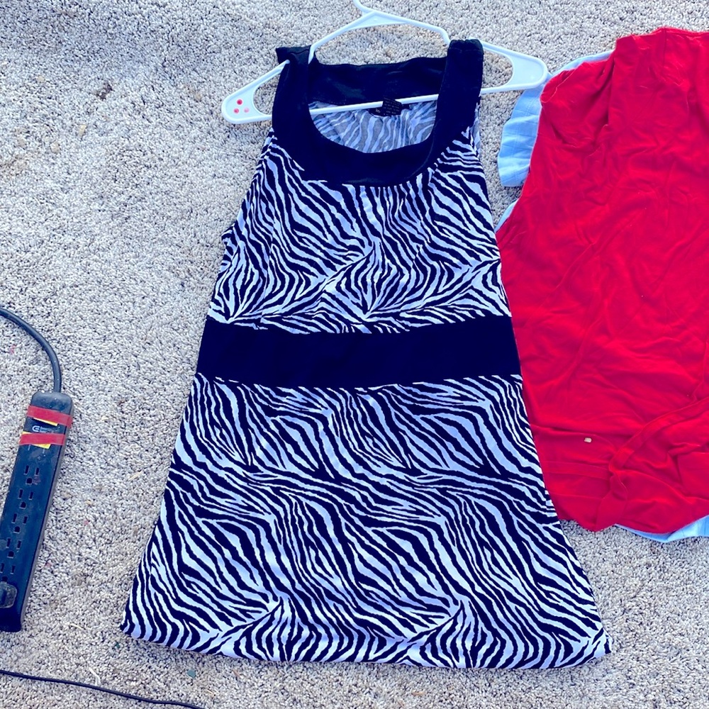 Zebra